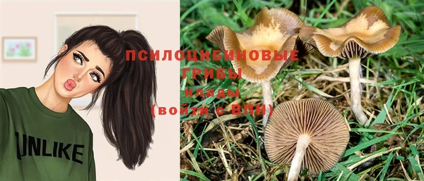 мдпв Зерноград