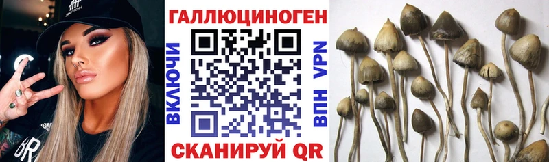 Купить закладки  Ворсма  Галлюциногенные грибы ЛСД 